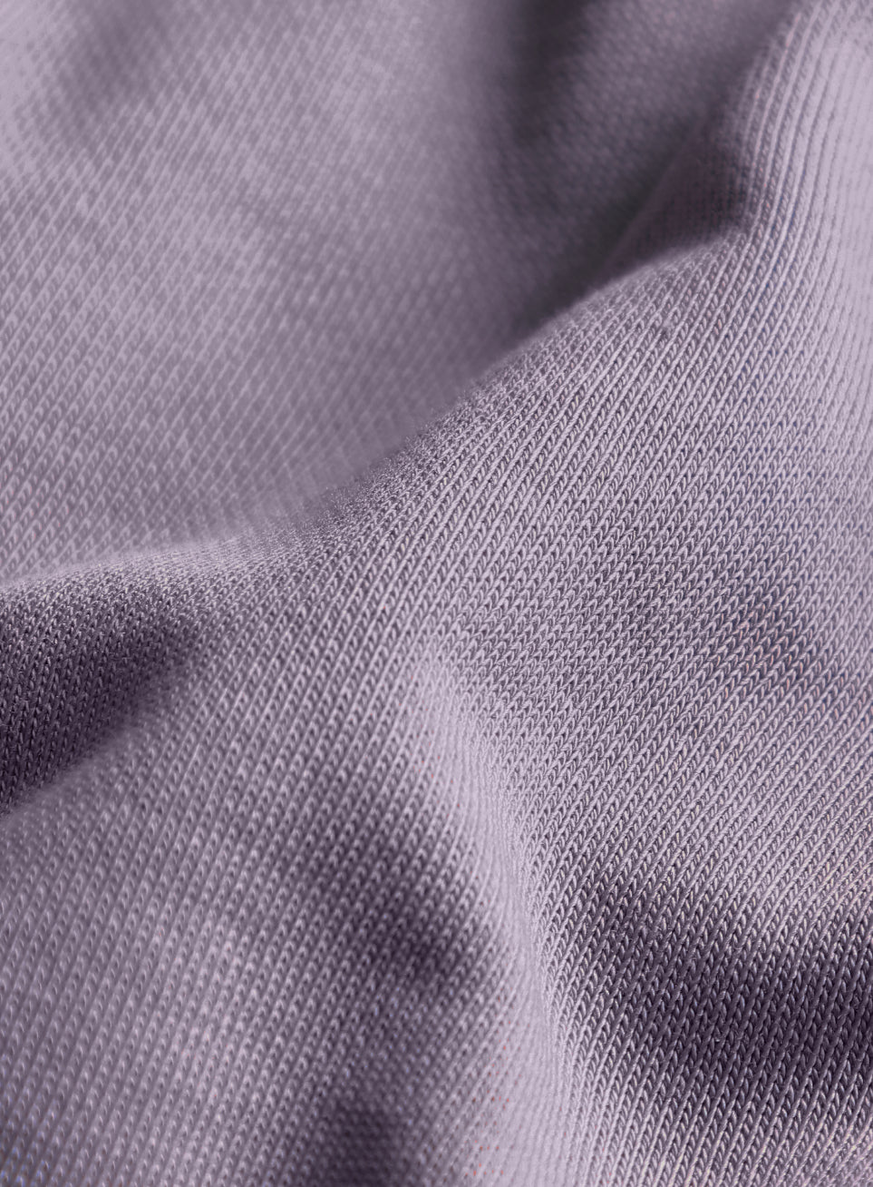 Women's Purple Panelled Shorts