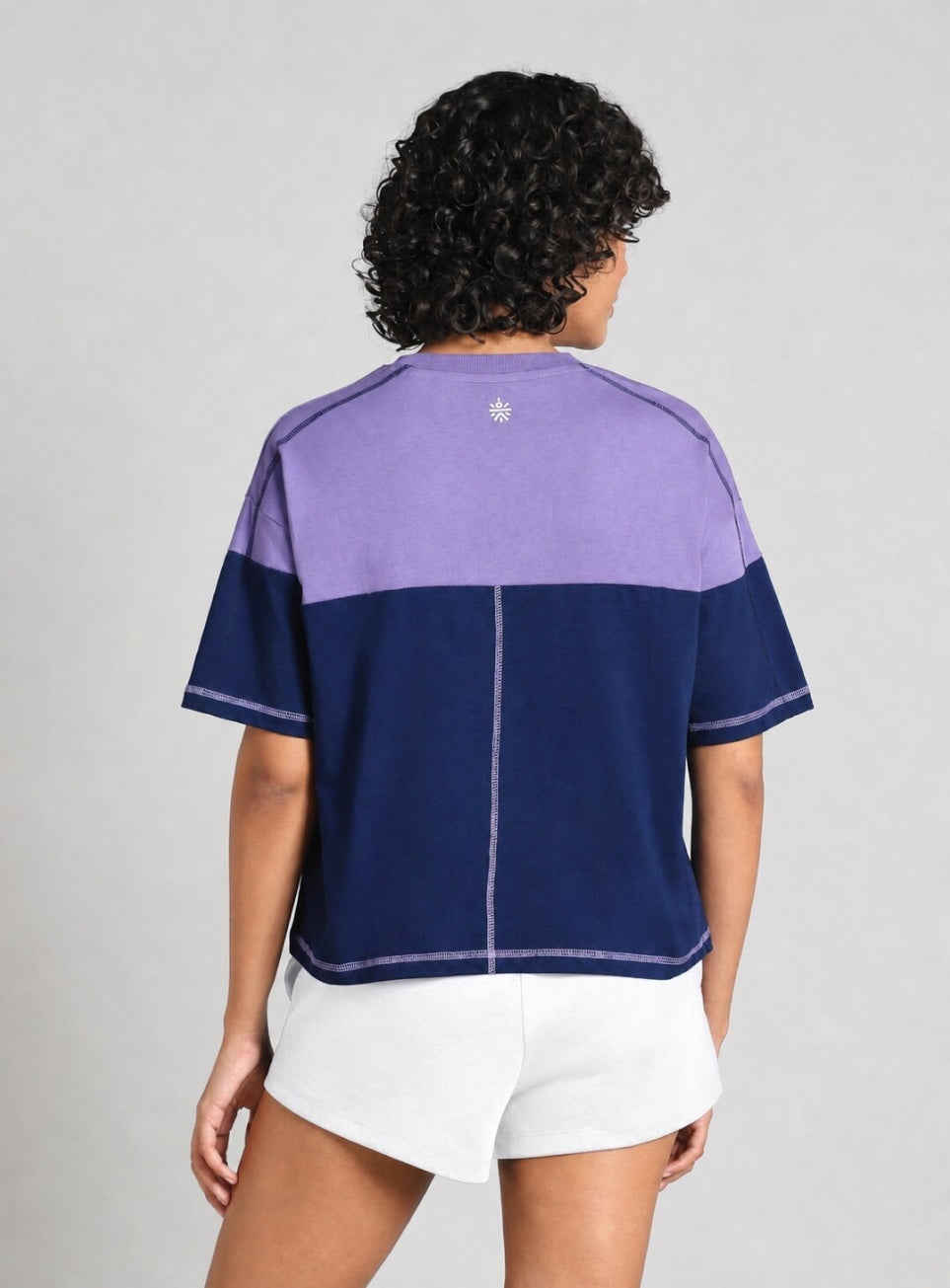 Women's Purple Colourblocked Boxy Fit T-shirt